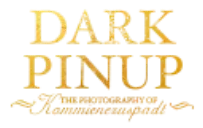 Dark Pinup logo