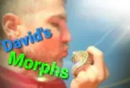 David's Morphs logo